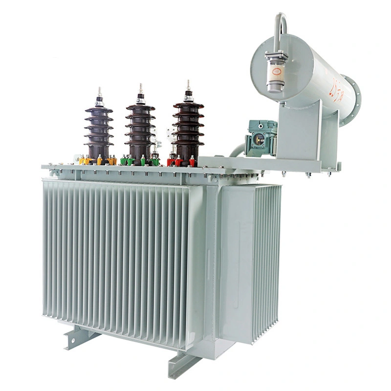 S11 3-fase buiten 35kv 1000kva stroomtransformator S11 3-fase buiten 35kv 1000kva stroomtransformator